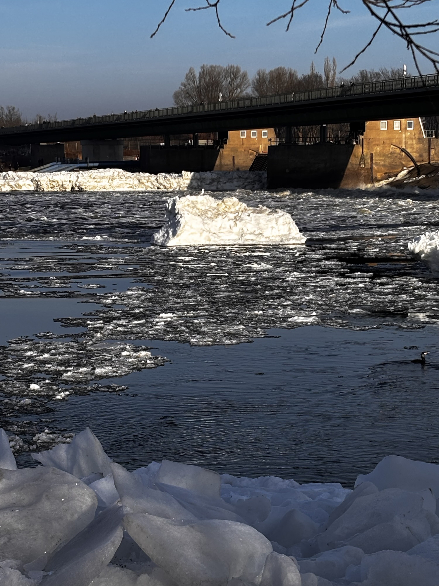 Meterhohe Eisberge an der Elbe