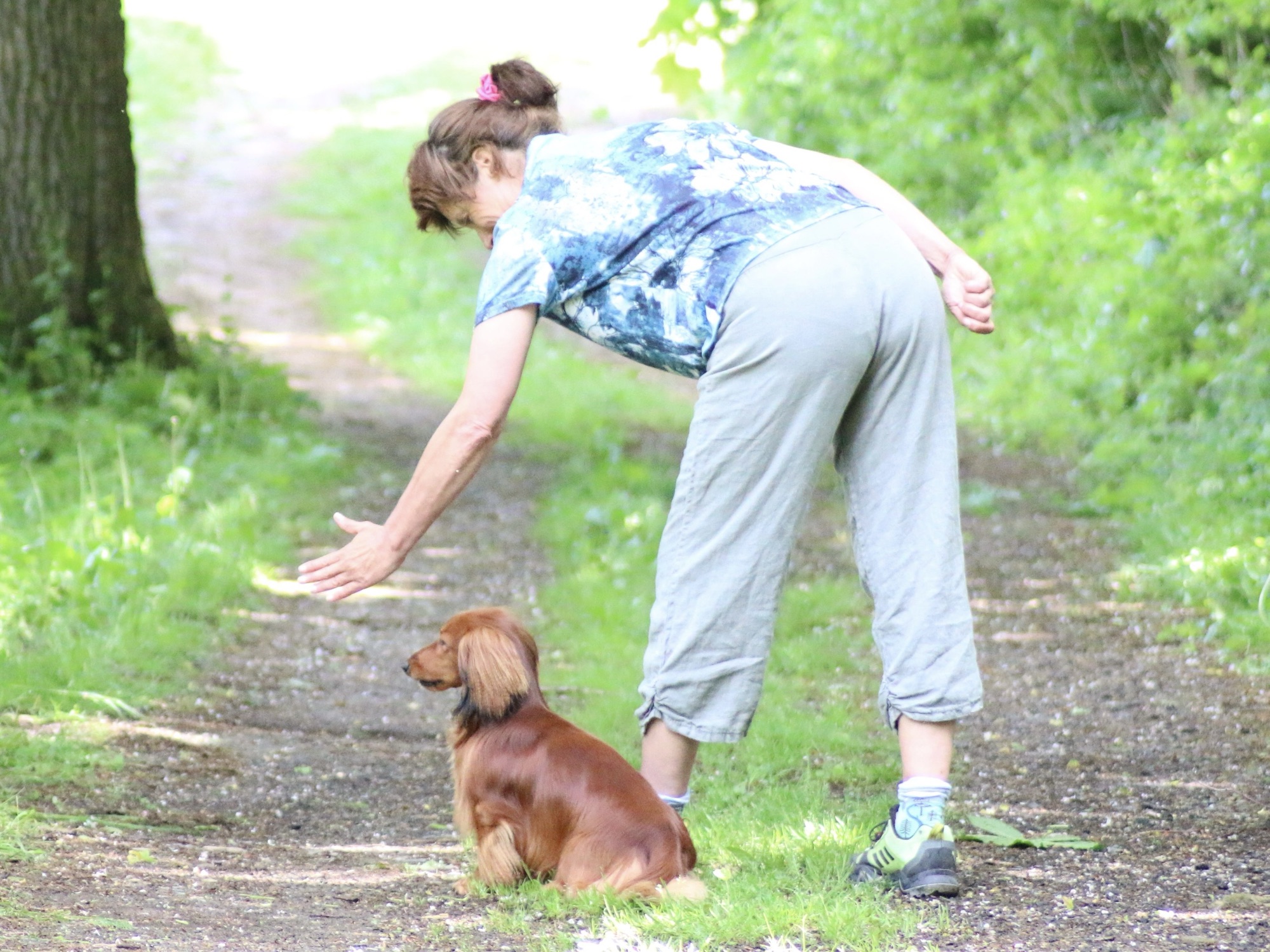 Dummytraining im Wald