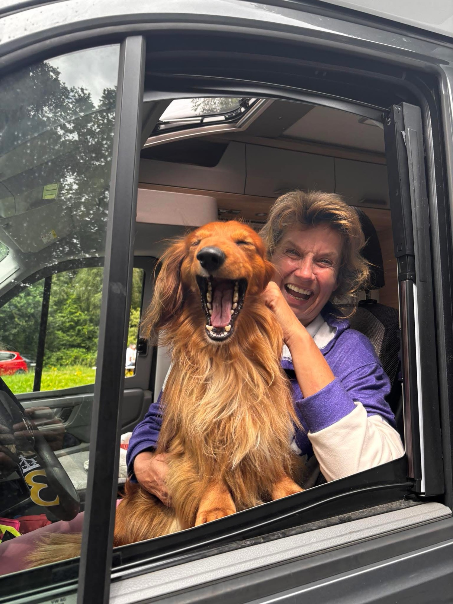 Wie transportiere ich einen Dackel im Auto