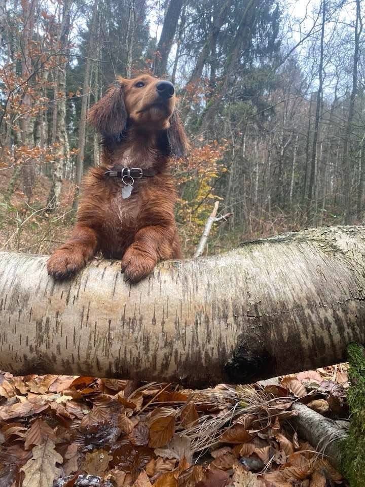 Beziehung verbessern