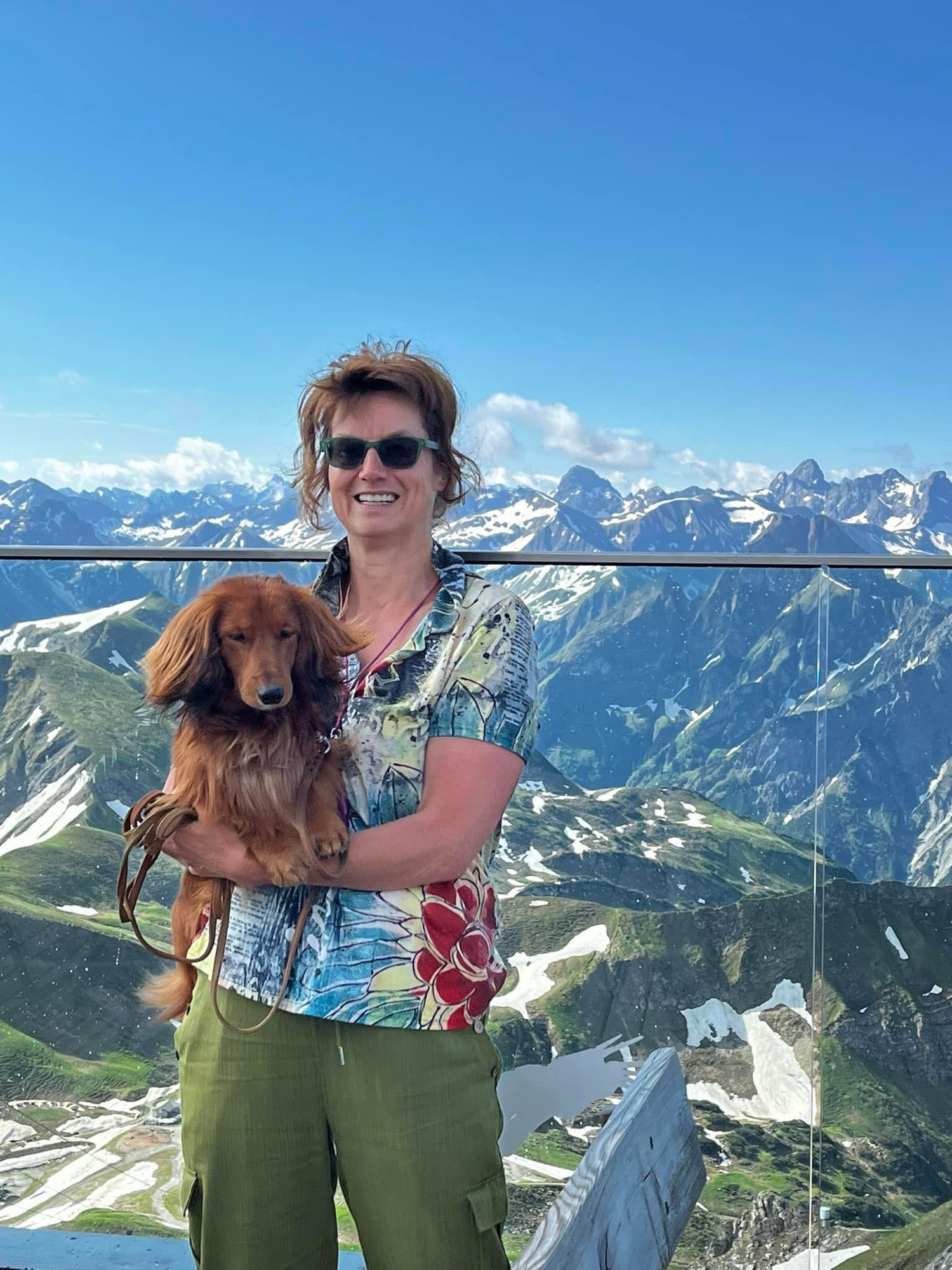 Ist der Dackel ein Anfängerhund?